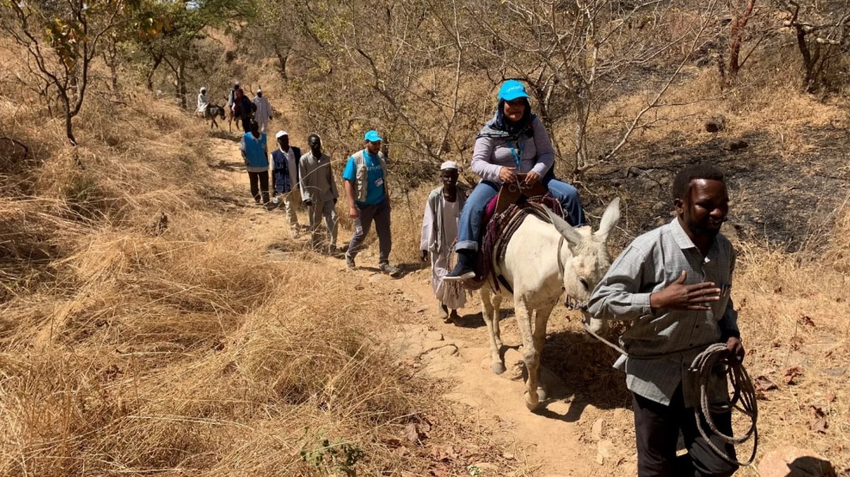 Living on the Edge: How Communities in Jebel Marra Cope with Conflict and Nature